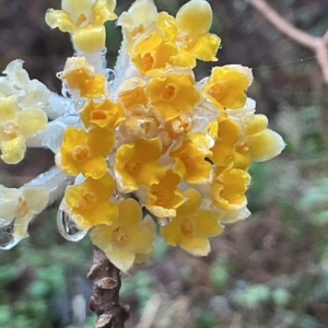 Thumbnail of post image 013