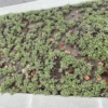 Thumbnail of related posts 117